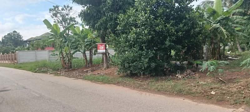 ที่ดินท่าเสา อุตรดิตถ์, อุตรดิตถ์, ท่าเสา, เมืองอุตรดิตถ์, อุตรดิตถ์, 340 ตร.ม., ที่ดิน ขาย, โดย The Best Property นิด, 500517628 - DDproperty.com