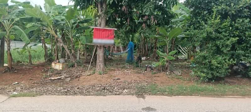 ที่ดินท่าเสา อุตรดิตถ์, อุตรดิตถ์, ท่าเสา, เมืองอุตรดิตถ์, อุตรดิตถ์, 340 ตร.ม., ที่ดิน ขาย, โดย The Best Property นิด, 500517628 - DDproperty.com