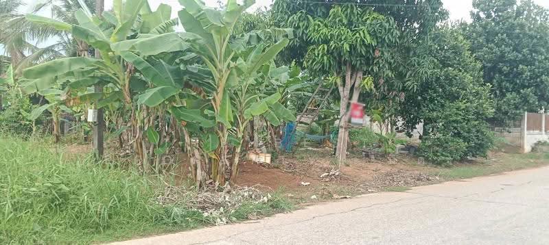 ที่ดินท่าเสา อุตรดิตถ์, อุตรดิตถ์, ท่าเสา, เมืองอุตรดิตถ์, อุตรดิตถ์, 340 ตร.ม., ที่ดิน ขาย, โดย The Best Property นิด, 500517628 - DDproperty.com