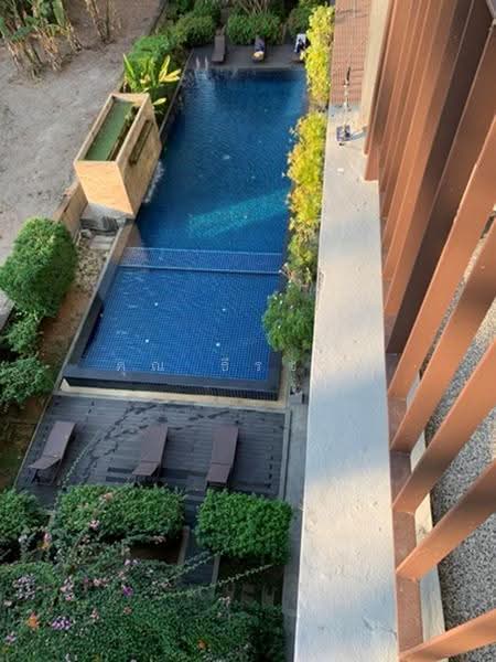 Mountain Front Condominium : เมาท์เท่นฟรอนท์ คอนโดมิเนียม, เชียงใหม่, ช้างเผือก, เมืองเชียงใหม่, เชียงใหม่, 55 ตร.ม., คอนโด ให้เช่า, โดย คุณ ธีรชาติ, 500517768 - DDproperty.com