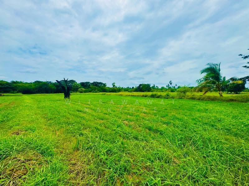 ที่ดิน ถ.มิตรภาพ ต.มะเกลือเก่า อ.สูงเนิน, Nakhon Ratchasima, Maklua Kao, Sung Noen, Nakhon Ratchasima, , 14,660 sqm, Land For Sale, by Witsawawat Nakthae, 500517825 - DDproperty.com
