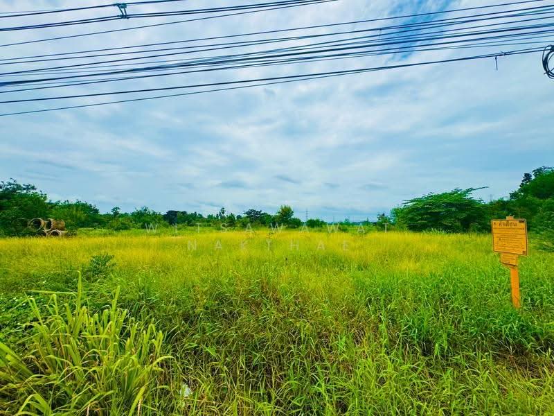 ที่ดิน ถ.มิตรภาพ ต.มะเกลือเก่า อ.สูงเนิน, Nakhon Ratchasima, Maklua Kao, Sung Noen, Nakhon Ratchasima, , 14,660 sqm, Land For Sale, by Witsawawat Nakthae, 500517825 - DDproperty.com
