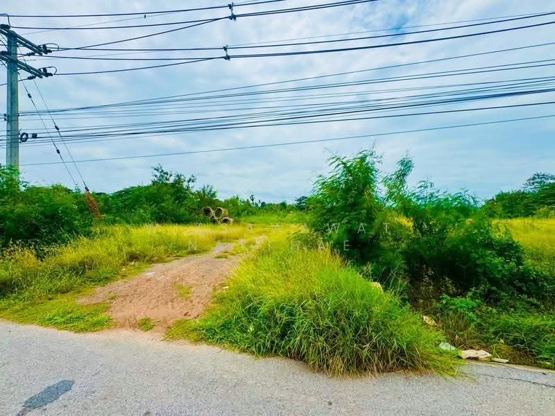 ที่ดิน ถ.มิตรภาพ ต.มะเกลือเก่า อ.สูงเนิน, Nakhon Ratchasima, Maklua Kao, Sung Noen, Nakhon Ratchasima, , 14,660 sqm, Land For Sale, by Witsawawat Nakthae, 500517825 - DDproperty.com