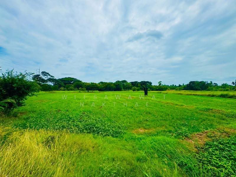 ที่ดิน ถ.มิตรภาพ ต.มะเกลือเก่า อ.สูงเนิน, นครราชสีมา, มะเกลือเก่า, สูงเนิน, นครราชสีมา, 14,660 ตร.ม., ที่ดิน ขาย, โดย Witsawawat Nakthae, 500517825 - DDproperty.com