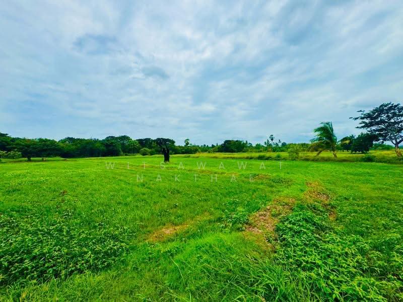 ที่ดิน ถ.มิตรภาพ ต.มะเกลือเก่า อ.สูงเนิน, Nakhon Ratchasima, Maklua Kao, Sung Noen, Nakhon Ratchasima, , 14,660 sqm, Land For Sale, by Witsawawat Nakthae, 500517825 - DDproperty.com