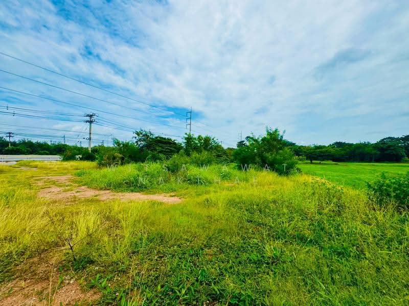 ที่ดิน ถ.มิตรภาพ ต.มะเกลือเก่า อ.สูงเนิน, Nakhon Ratchasima, Maklua Kao, Sung Noen, Nakhon Ratchasima, , 14,660 sqm, Land For Sale, by Witsawawat Nakthae, 500517825 - DDproperty.com