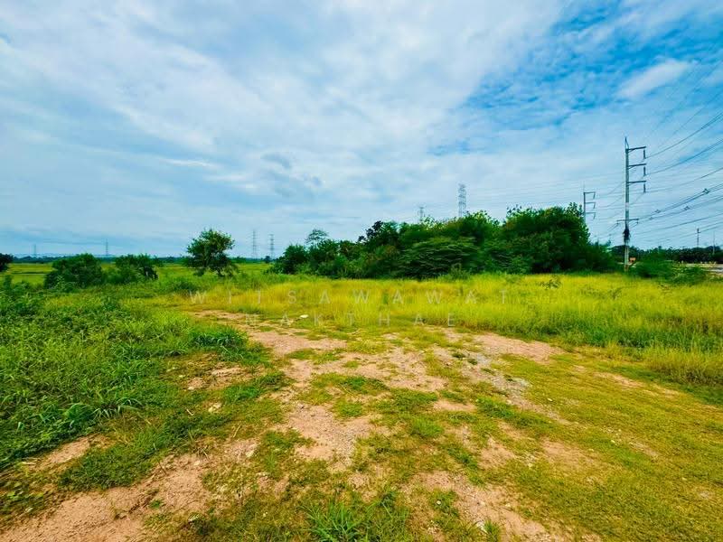 ที่ดิน ถ.มิตรภาพ ต.มะเกลือเก่า อ.สูงเนิน, Nakhon Ratchasima, Maklua Kao, Sung Noen, Nakhon Ratchasima, , 14,660 sqm, Land For Sale, by Witsawawat Nakthae, 500517825 - DDproperty.com