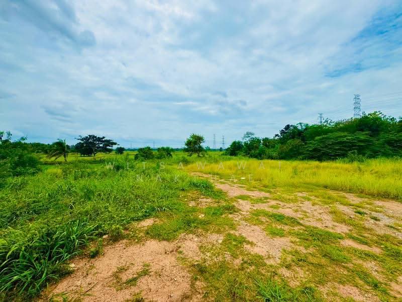 ที่ดิน ถ.มิตรภาพ ต.มะเกลือเก่า อ.สูงเนิน, Nakhon Ratchasima, Maklua Kao, Sung Noen, Nakhon Ratchasima, , 14,660 sqm, Land For Sale, by Witsawawat Nakthae, 500517825 - DDproperty.com