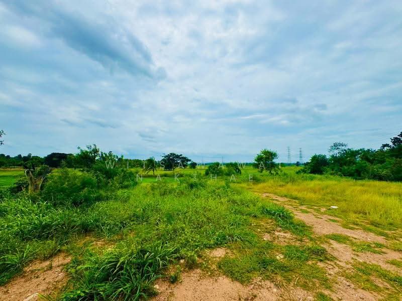 ที่ดิน ถ.มิตรภาพ ต.มะเกลือเก่า อ.สูงเนิน, Nakhon Ratchasima, Maklua Kao, Sung Noen, Nakhon Ratchasima, , 14,660 sqm, Land For Sale, by Witsawawat Nakthae, 500517825 - DDproperty.com