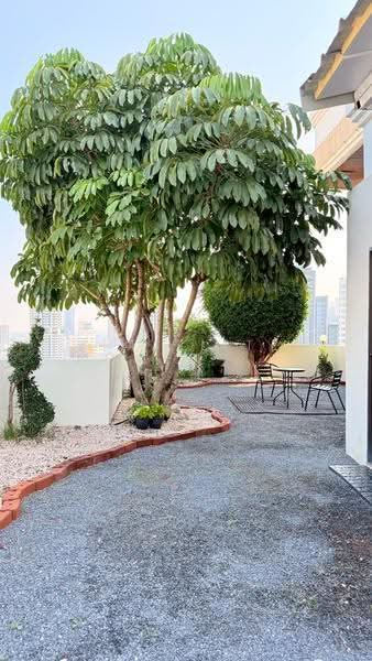 Charan Tower Residences by Aspira, Bangkok, 19 Soi Sukhumvit 43, Khlong Tan Nua, Watthana, Bangkok, 3 Bedrooms, 450 sqm, Apartment For Rent, by The Elite Homes (Thailand) Co., Ltd., 500517863 - DDproperty.com