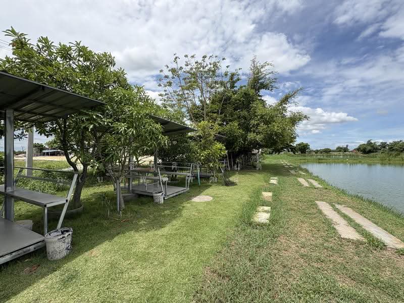 ขายที่ดินบ่อปลา ขนาด 9-2-52 ไร่ บรรยากาศริมน้ำสุดชิล เกาะลอย พานทอง ชลบุรี, Chon Buri (Pattaya), Ko Loi, Phan Thong, Chon Buri (Pattaya), , 15,408 sqm, Land For Sale, by ทองมี รูปสูง, 500518010 - DDproperty.com