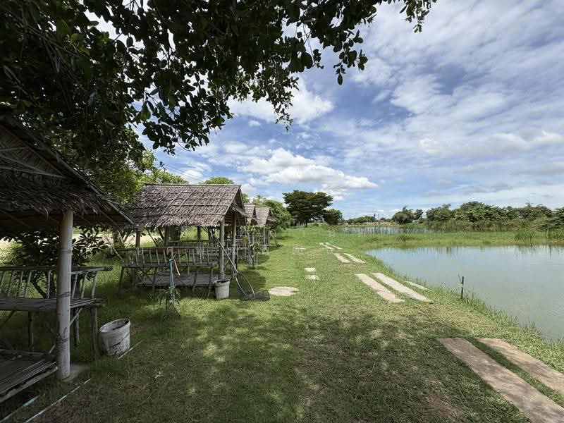 ขายที่ดินบ่อปลา ขนาด 9-2-52 ไร่ บรรยากาศริมน้ำสุดชิล เกาะลอย พานทอง ชลบุรี, Chon Buri (Pattaya), Ko Loi, Phan Thong, Chon Buri (Pattaya), , 15,408 sqm, Land For Sale, by ทองมี รูปสูง, 500518010 - DDproperty.com
