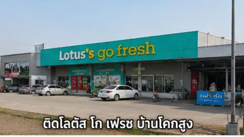 ไม่พบโครงการ, ขอนแก่น, ติดถนน 8 เลน, โคกสูง, อุบลรัตน์, ขอนแก่น, 31,720 ตร.ม., ที่ดิน ให้เช่า, โดย ณัฐพงศ์ สุนทรอรุณ, 500518129 - DDproperty.com