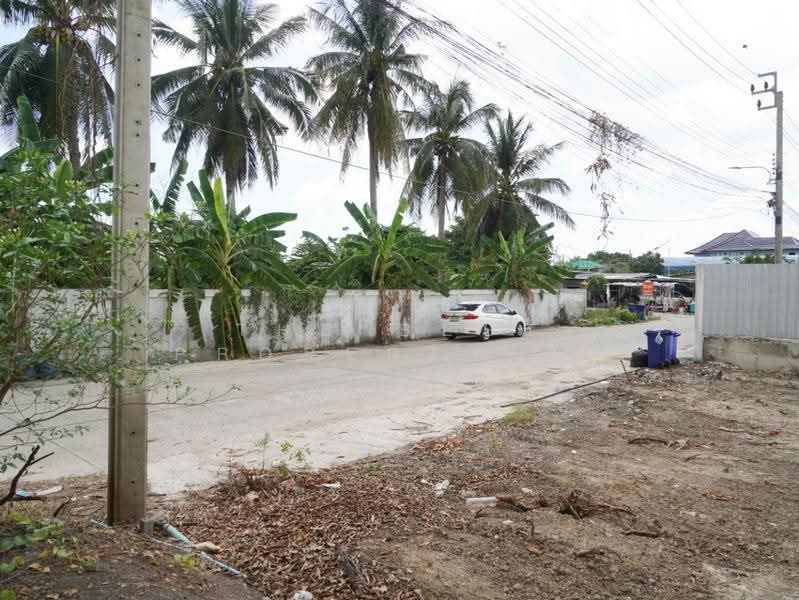 ที่ดินบางใหญ่ นนทบุรี, นนทบุรี, บางแม่นาง, บางใหญ่, นนทบุรี, 465 ตร.ม., ที่ดิน ขาย, โดย The Best Property ไข่, 500518143 - DDproperty.com