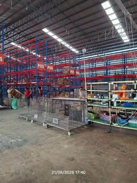 ให้เช่าโกดังมาตรฐานสูง สมุทรสาคร พื้นที่ 3,054 ตร.ม. พร้อมชั้นวางสินค้าและอุปกรณ์ครบ, สมุทรสาคร, มหาชัย, เมืองสมุทรสาคร, สมุทรสาคร, 3,000 ตร.ม., โกดัง-โรงงาน ให้เช่า, โดย Forty-Six Real Estate Group, 500518179 - DDproperty.com