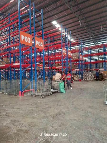 ให้เช่าโกดังมาตรฐานสูง สมุทรสาคร พื้นที่ 3,054 ตร.ม. พร้อมชั้นวางสินค้าและอุปกรณ์ครบ, สมุทรสาคร, มหาชัย, เมืองสมุทรสาคร, สมุทรสาคร, 3,000 ตร.ม., โกดัง-โรงงาน ให้เช่า, โดย Forty-Six Real Estate Group, 500518179 - DDproperty.com