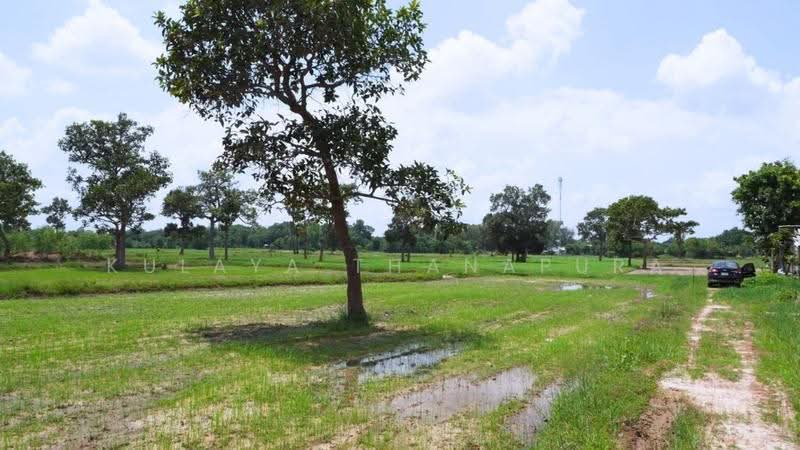 Agricultural Land, Don Kloi, Phibun Rak, Udon Thani, Don Kloi, Phibun Rak, Udon Thani, , 43,808 sqm, Land For Sale, by Kulaya Thanapura, 500518213 - DDproperty.com