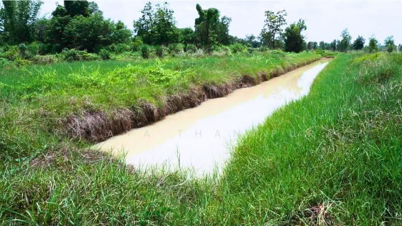 Agricultural Land, Don Kloi, Phibun Rak, Udon Thani, Don Kloi, Phibun Rak, Udon Thani, , 43,808 sqm, Land For Sale, by Kulaya Thanapura, 500518213 - DDproperty.com