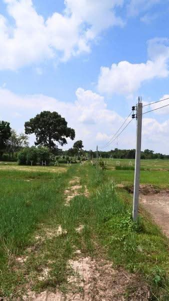 Agricultural Land, Don Kloi, Phibun Rak, Udon Thani, Don Kloi, Phibun Rak, Udon Thani, , 43,808 sqm, Land For Sale, by Kulaya Thanapura, 500518213 - DDproperty.com