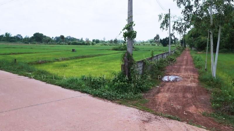 Agricultural Land, Don Kloi, Phibun Rak, Udon Thani, Don Kloi, Phibun Rak, Udon Thani, , 43,808 sqm, Land For Sale, by Kulaya Thanapura, 500518213 - DDproperty.com