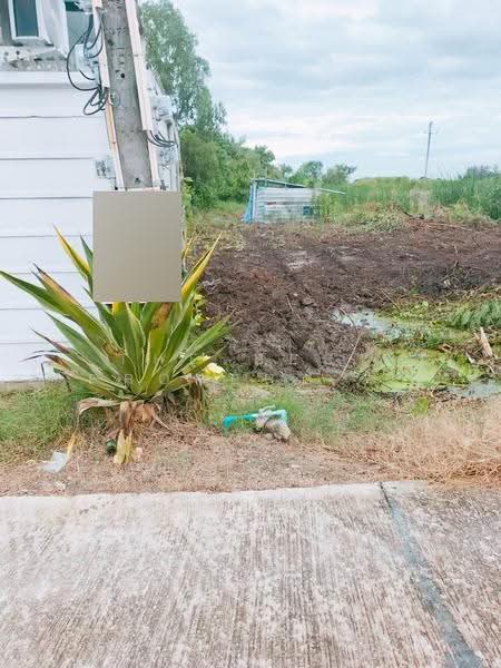 ที่ดินคลองเปรง ฉะเชิงเทรา, Chachoengsao, Khlong Preng, Muang Chachoengsao, Chachoengsao, , 3,216 sqm, Land For Sale, by The Best Property เครือ, 500518220 - DDproperty.com