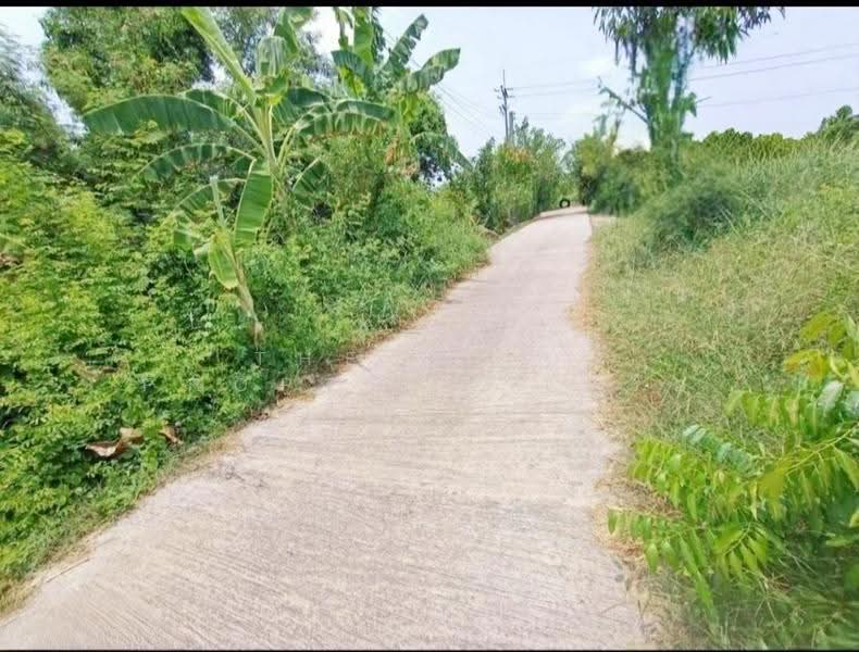 ที่ดินคลองเปรง ฉะเชิงเทรา, ฉะเชิงเทรา, คลองเปรง, เมืองฉะเชิงเทรา, ฉะเชิงเทรา, 3,216 ตร.ม., ที่ดิน ขาย, โดย The Best Property เครือ, 500518220 - DDproperty.com