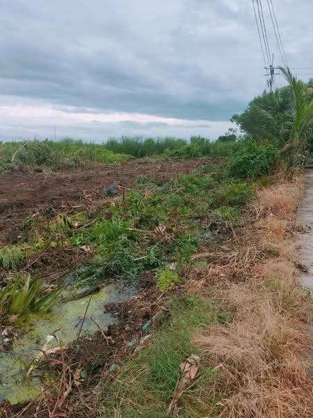 ที่ดินคลองเปรง ฉะเชิงเทรา, Chachoengsao, Khlong Preng, Muang Chachoengsao, Chachoengsao, , 3,216 sqm, Land For Sale, by The Best Property เครือ, 500518220 - DDproperty.com