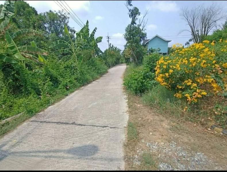 ที่ดินคลองเปรง ฉะเชิงเทรา, ฉะเชิงเทรา, คลองเปรง, เมืองฉะเชิงเทรา, ฉะเชิงเทรา, 3,216 ตร.ม., ที่ดิน ขาย, โดย The Best Property เครือ, 500518220 - DDproperty.com