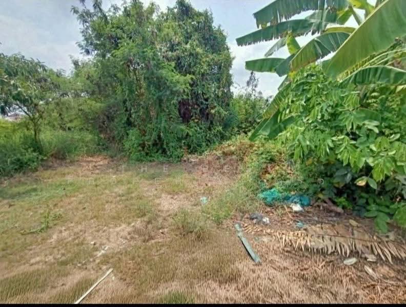 ที่ดินคลองเปรง ฉะเชิงเทรา, Chachoengsao, Khlong Preng, Muang Chachoengsao, Chachoengsao, , 3,216 sqm, Land For Sale, by The Best Property เครือ, 500518220 - DDproperty.com