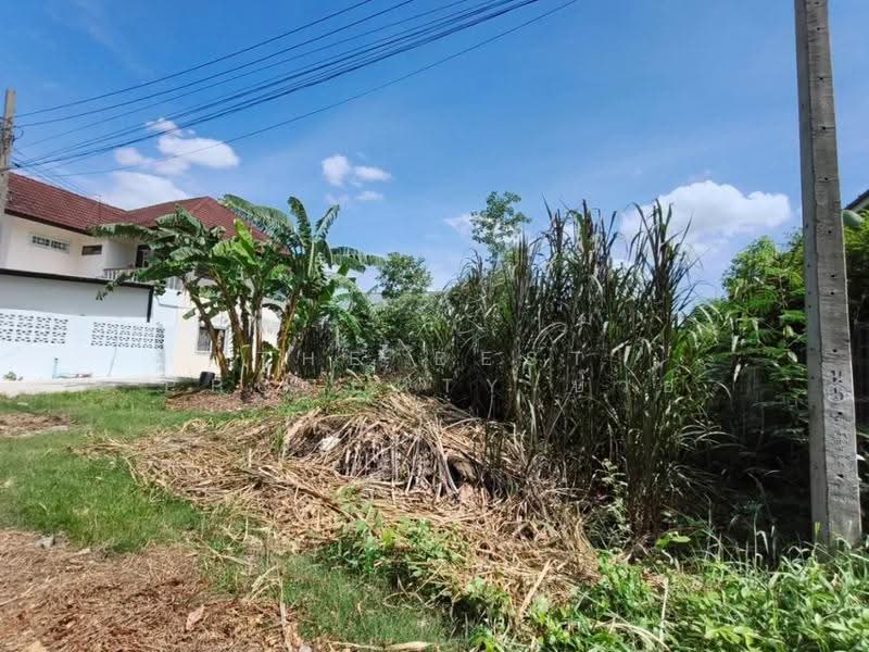 ที่ดินปากเกร็ด นนทบุรี, Nonthaburi, Bang Phut, Pak Kret, Nonthaburi, , 410 sqm, Land For Sale, by The Best Property บ๊วย, 500518273 - DDproperty.com