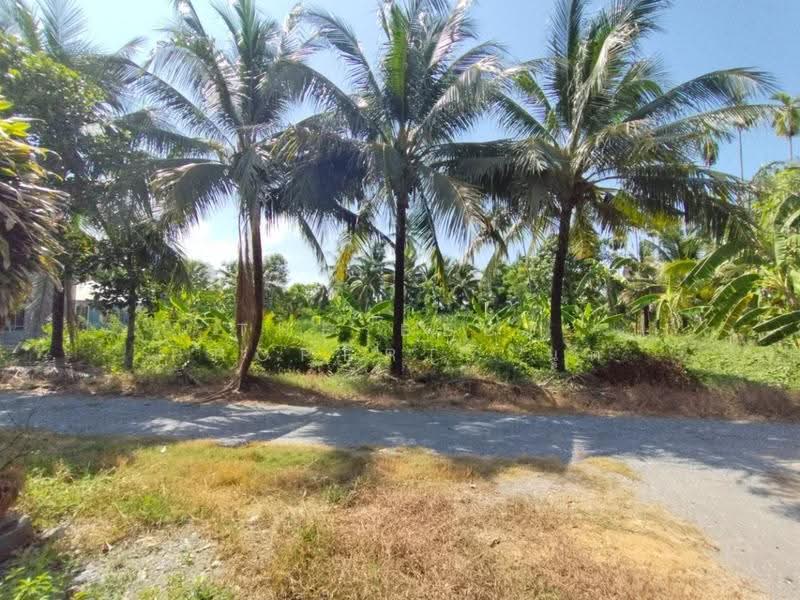 ที่ดินสามพราน นครปฐม, นครปฐม, หอมเกร็ด, สามพราน, นครปฐม, 400 ตร.ม., ที่ดิน ขาย, โดย The Best Property นุต, 500518322 - DDproperty.com
