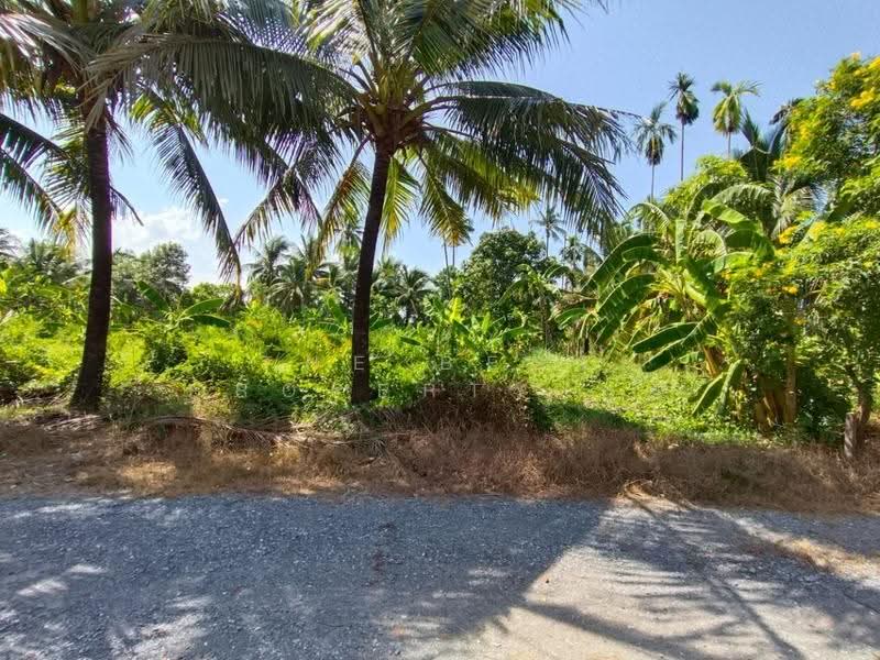 ที่ดินสามพราน นครปฐม, นครปฐม, หอมเกร็ด, สามพราน, นครปฐม, 400 ตร.ม., ที่ดิน ขาย, โดย The Best Property นุต, 500518322 - DDproperty.com