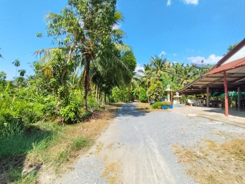 ที่ดินสามพราน นครปฐม, นครปฐม, หอมเกร็ด, สามพราน, นครปฐม, 400 ตร.ม., ที่ดิน ขาย, โดย The Best Property นุต, 500518322 - DDproperty.com
