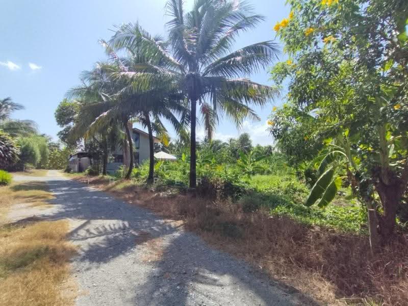 ที่ดินสามพราน นครปฐม, Nakhon Pathom, Hom Kret, Sam Phran, Nakhon Pathom, , 400 sqm, Land For Sale, by The Best Property นุต, 500518322 - DDproperty.com