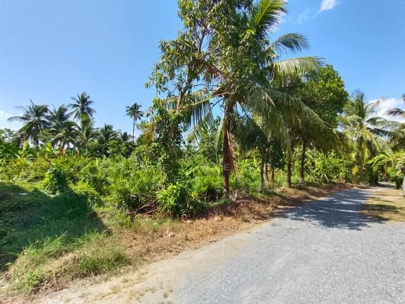 ที่ดินสามพราน นครปฐม, นครปฐม, หอมเกร็ด, สามพราน, นครปฐม, 400 ตร.ม., ที่ดิน ขาย, โดย The Best Property นุต, 500518322 - DDproperty.com
