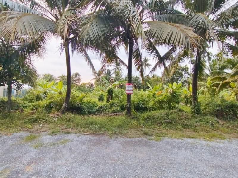 ที่ดินสามพราน นครปฐม, นครปฐม, หอมเกร็ด, สามพราน, นครปฐม, 400 ตร.ม., ที่ดิน ขาย, โดย The Best Property นุต, 500518322 - DDproperty.com