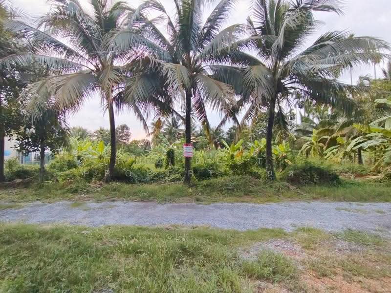 ที่ดินสามพราน นครปฐม, นครปฐม, หอมเกร็ด, สามพราน, นครปฐม, 400 ตร.ม., ที่ดิน ขาย, โดย The Best Property นุต, 500518322 - DDproperty.com