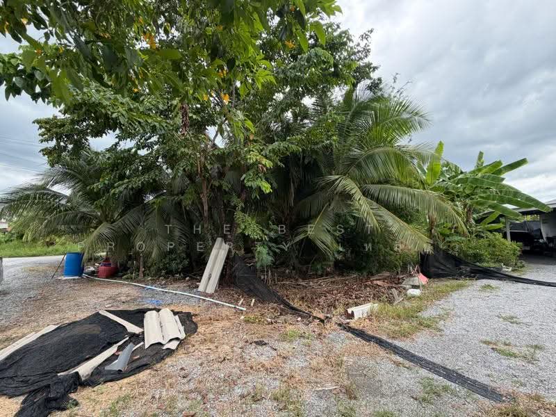 ที่ดินบ้านแพ้ว สมุทรสาคร, Samut Sakhon, Khlong Ton, Ban Phaeo, Samut Sakhon, , 242 sqm, Land For Sale, by The Best Property เหมียว, 500518418 - DDproperty.com