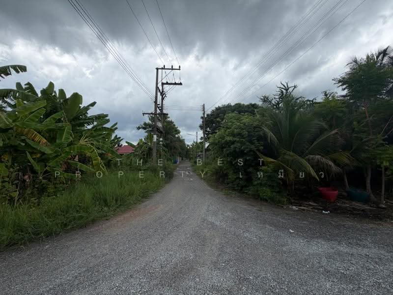 ที่ดินบ้านแพ้ว สมุทรสาคร, Samut Sakhon, Khlong Ton, Ban Phaeo, Samut Sakhon, , 242 sqm, Land For Sale, by The Best Property เหมียว, 500518418 - DDproperty.com
