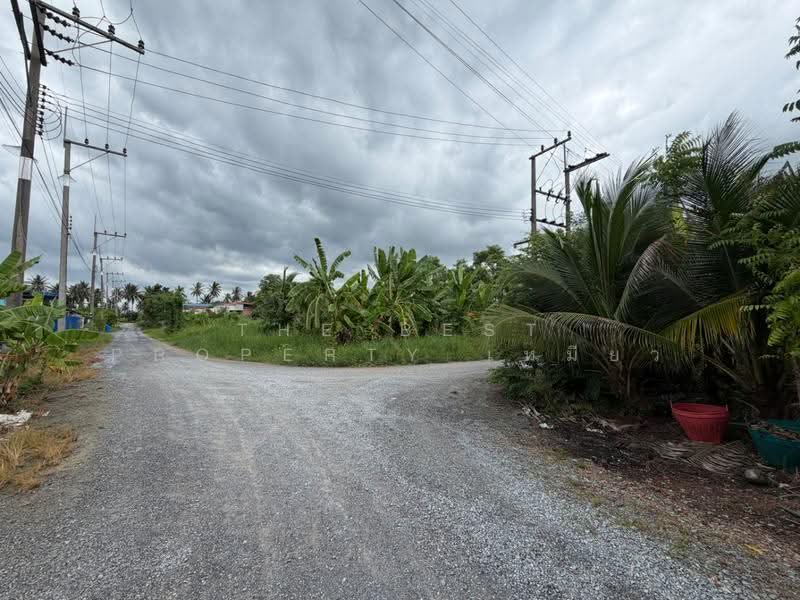 ที่ดินบ้านแพ้ว สมุทรสาคร, Samut Sakhon, Khlong Ton, Ban Phaeo, Samut Sakhon, , 242 sqm, Land For Sale, by The Best Property เหมียว, 500518418 - DDproperty.com