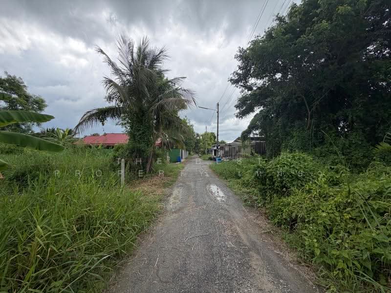 ที่ดินบ้านแพ้ว สมุทรสาคร, Samut Sakhon, Khlong Ton, Ban Phaeo, Samut Sakhon, , 242 sqm, Land For Sale, by The Best Property เหมียว, 500518418 - DDproperty.com