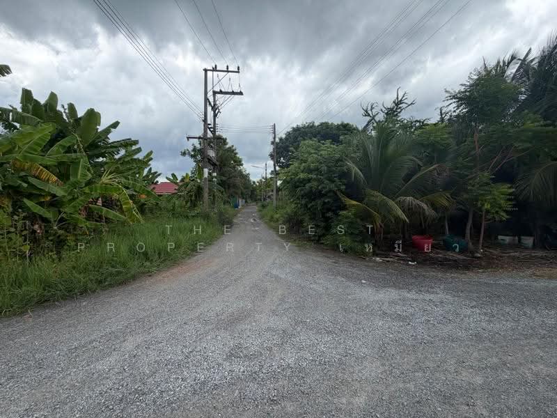 ที่ดินบ้านแพ้ว สมุทรสาคร, Samut Sakhon, Khlong Ton, Ban Phaeo, Samut Sakhon, , 242 sqm, Land For Sale, by The Best Property เหมียว, 500518418 - DDproperty.com