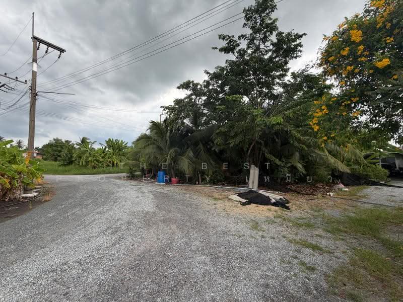 ที่ดินบ้านแพ้ว สมุทรสาคร, Samut Sakhon, Khlong Ton, Ban Phaeo, Samut Sakhon, , 242 sqm, Land For Sale, by The Best Property เหมียว, 500518418 - DDproperty.com