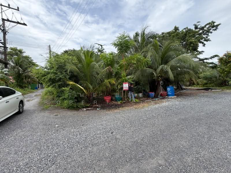 ที่ดินบ้านแพ้ว สมุทรสาคร, Samut Sakhon, Khlong Ton, Ban Phaeo, Samut Sakhon, , 242 sqm, Land For Sale, by The Best Property เหมียว, 500518418 - DDproperty.com