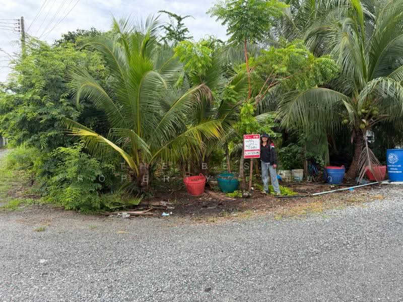 ที่ดินบ้านแพ้ว สมุทรสาคร, Samut Sakhon, Khlong Ton, Ban Phaeo, Samut Sakhon, , 242 sqm, Land For Sale, by The Best Property เหมียว, 500518418 - DDproperty.com