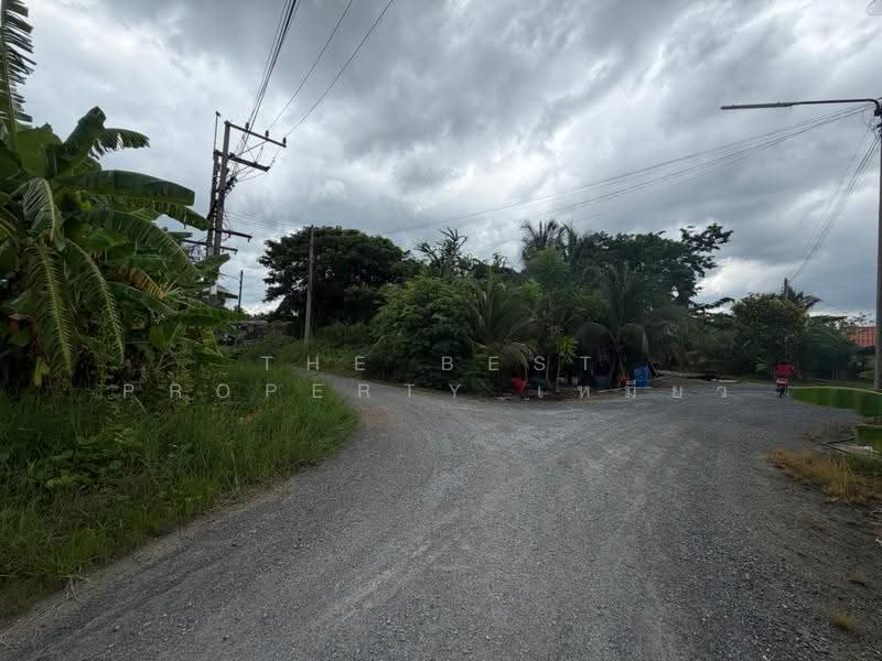 ที่ดินบ้านแพ้ว สมุทรสาคร, Samut Sakhon, Khlong Ton, Ban Phaeo, Samut Sakhon, , 242 sqm, Land For Sale, by The Best Property เหมียว, 500518418 - DDproperty.com