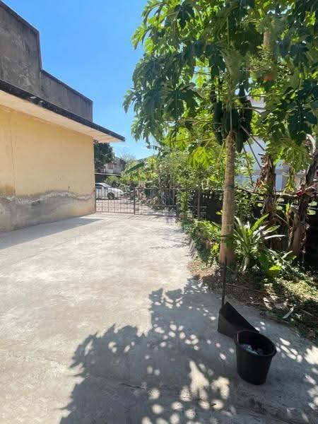 ที่ดินบุ่ง อำนาจเจริญ, อำนาจเจริญ, บุ่ง, เมืองอำนาจเจริญ, อำนาจเจริญ, 187 ตร.ม., ที่ดิน ขาย, โดย The Best Property บี, 500518426 - DDproperty.com