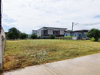 ขาย - ที่ดินบ้านคลอง พิษณุโลก, พิษณุโลก