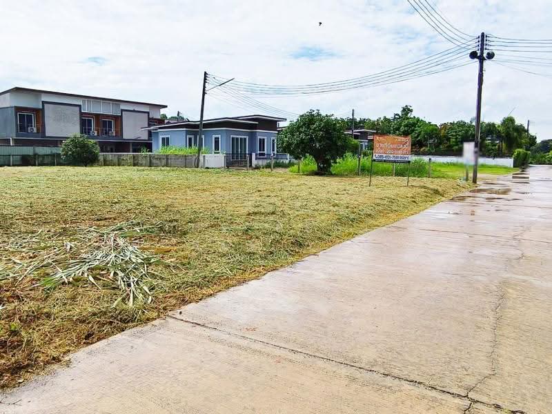 ที่ดินบ้านคลอง พิษณุโลก, พิษณุโลก, บ้านคลอง, เมืองพิษณุโลก, พิษณุโลก, 800 ตร.ม., ที่ดิน ขาย, โดย The Best Property ณิชา, 500518460 - DDproperty.com
