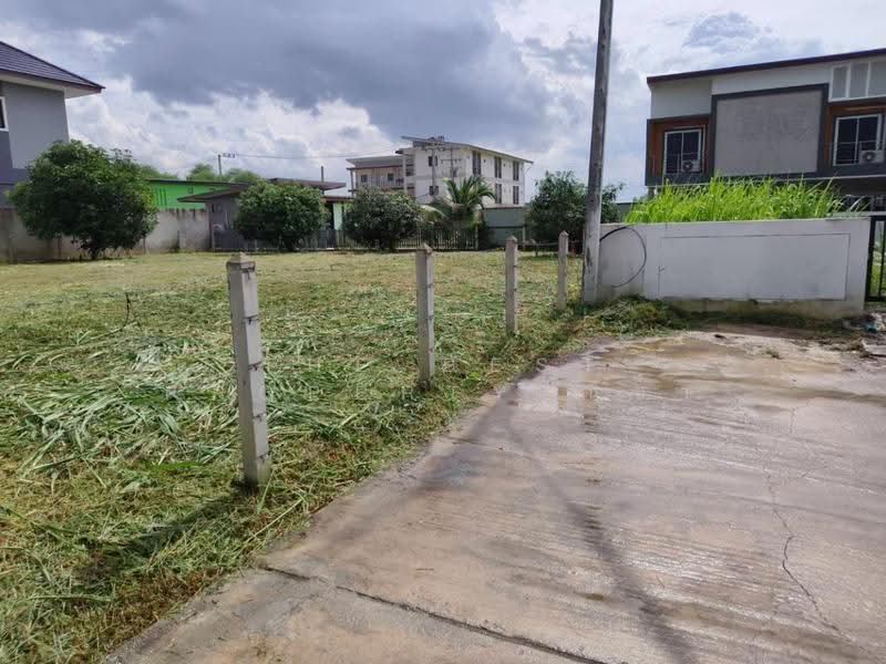 ที่ดินบ้านคลอง พิษณุโลก, Phitsanulok, Ban Khlong, Muang Phitsanulok, Phitsanulok, , 800 sqm, Land For Sale, by The Best Property ณิชา, 500518460 - DDproperty.com